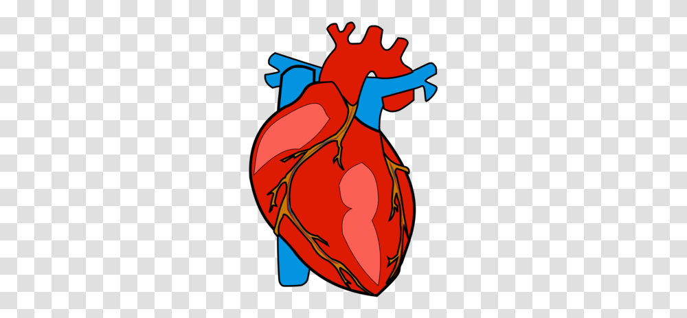 Thumb Image Human Heart, Plant, Modern Art, Leisure Activities Transparent Png