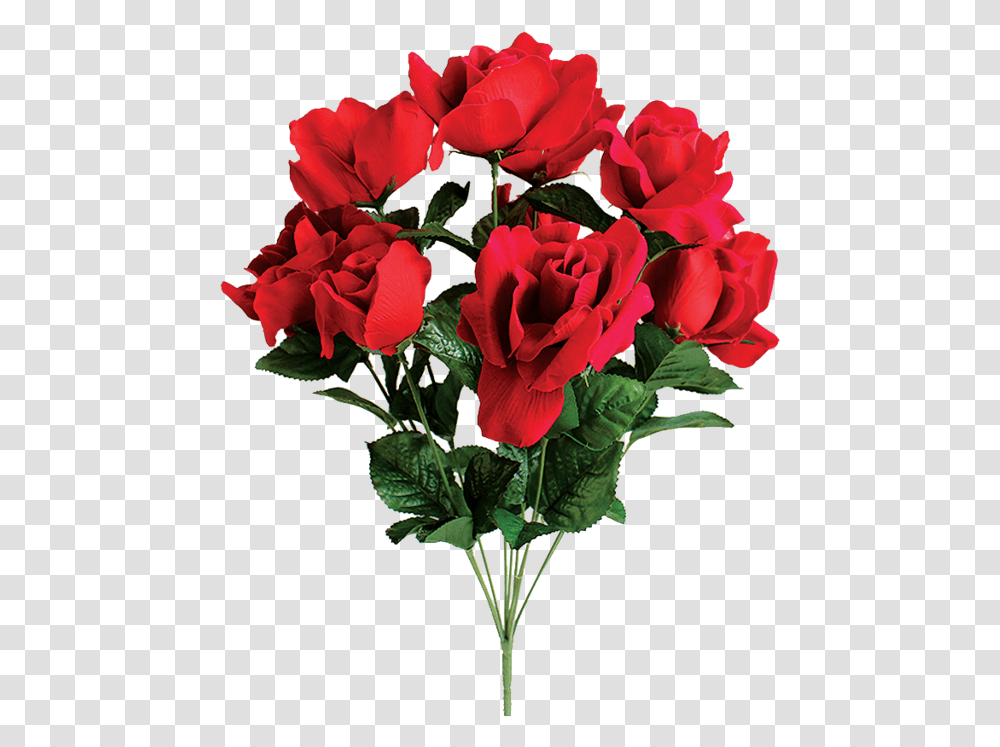 Thumb Image Invisible Background Rose, Plant, Flower, Blossom, Flower Bouquet Transparent Png