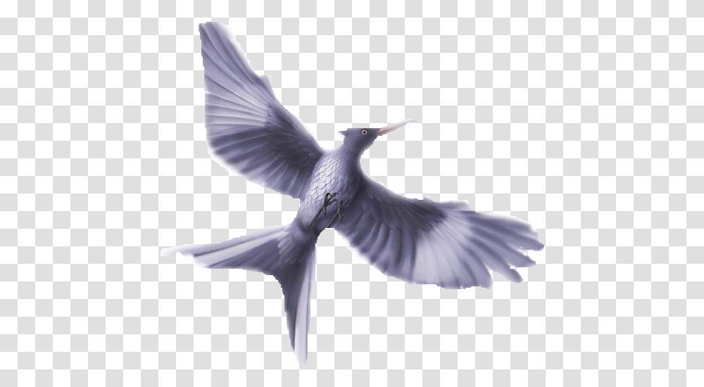 Thumb Image Jabberjay Mockingbird, Animal, Pigeon, Dove, Flying Transparent Png