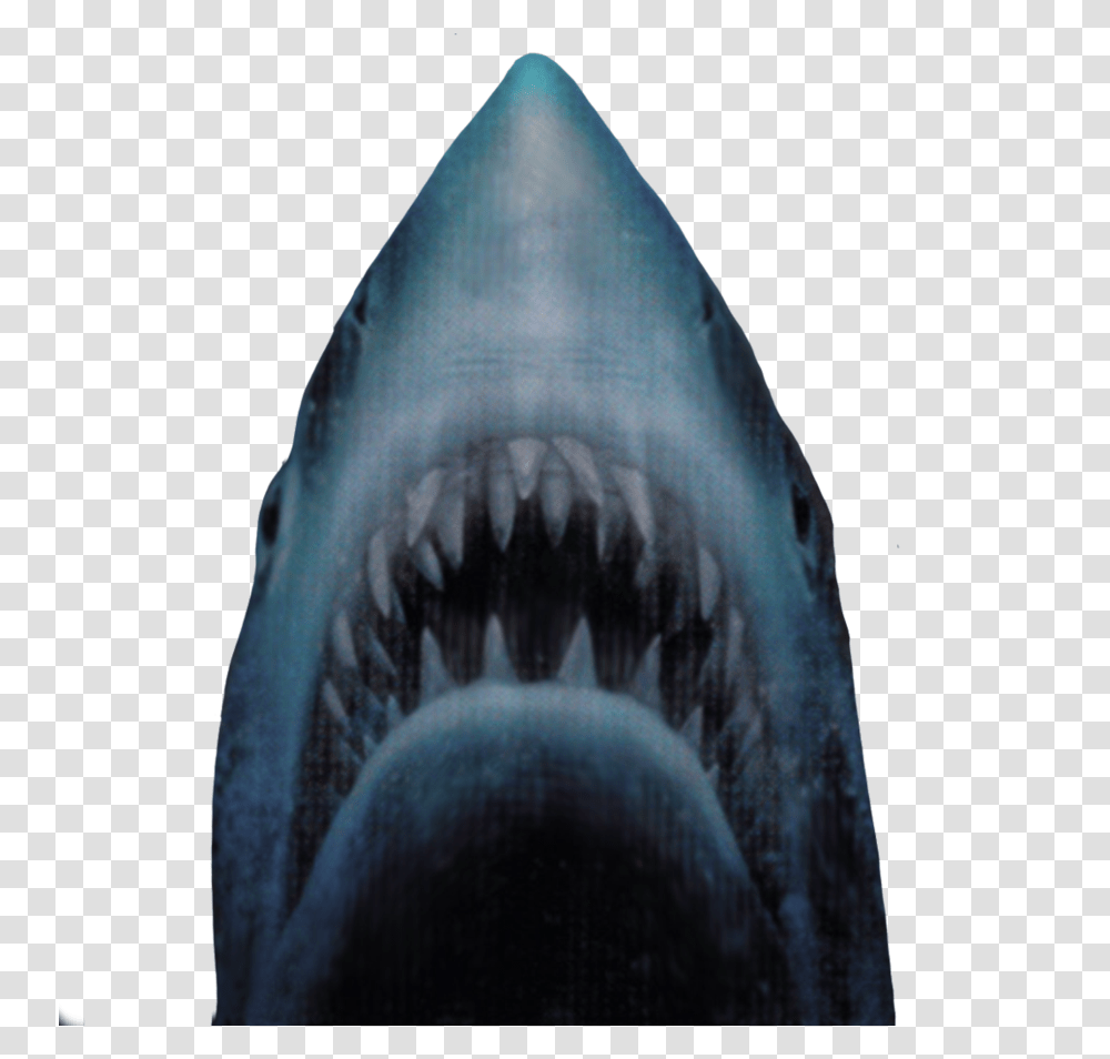 Thumb Image Jaws Shark Background, Sea Life, Animal, Fish, Great White Shark Transparent Png
