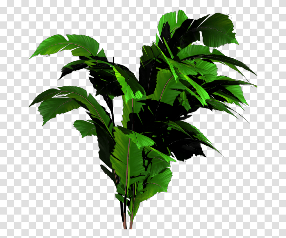 Thumb Image Jungle Tree, Leaf, Plant, Vegetation, Green Transparent Png