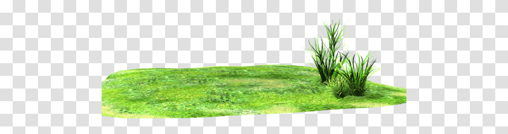 Thumb Image Land Clipart, Grass, Plant, Tree, Lawn Transparent Png