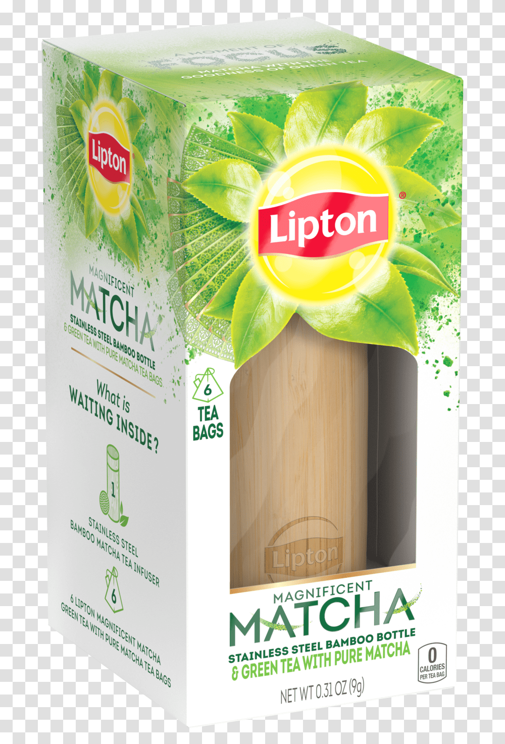 Thumb Image Lipton Matcha Green Tea, Plant, Jar, Vase, Pottery Transparent Png