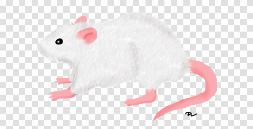 Thumb Image, Mammal, Animal, Rodent, Wildlife Transparent Png