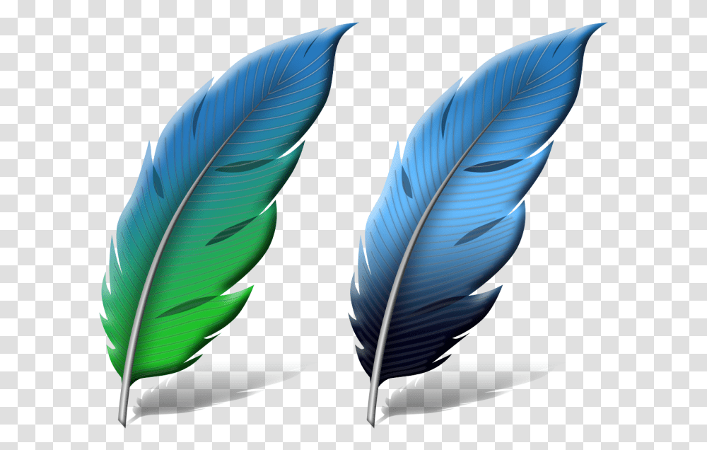 Thumb Image Photoshop Feathers, Leaf, Plant, Veins, Person Transparent Png