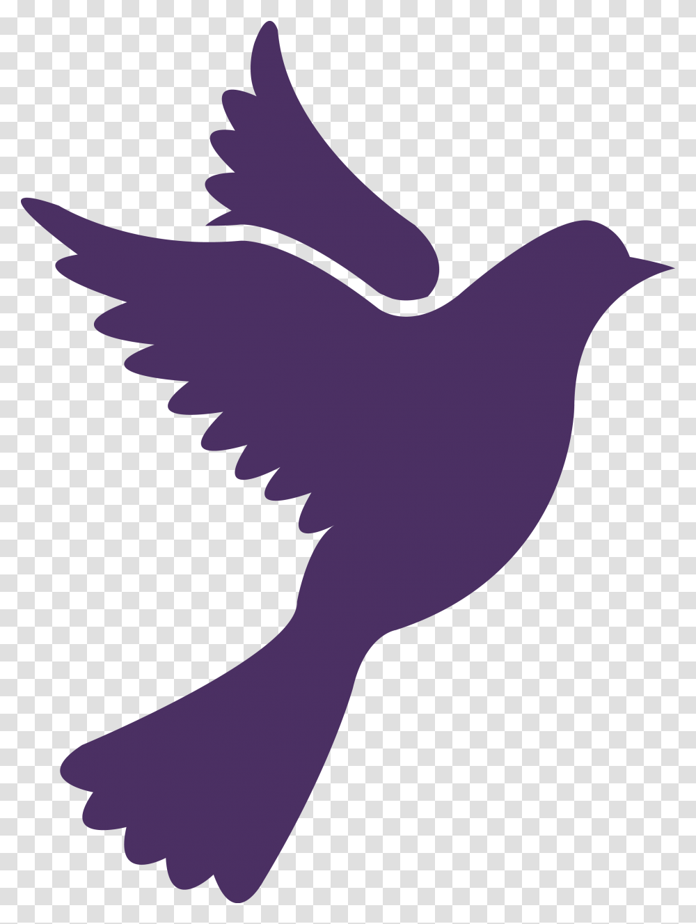 Thumb Image Pigeon Icon, Silhouette, Bird, Animal, Stencil Transparent Png