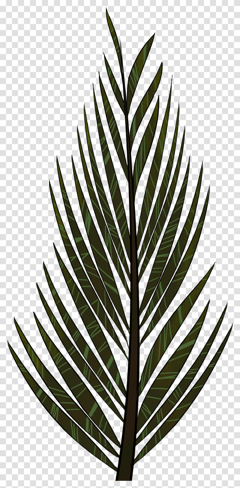Thumb Image Pine Tree Leaves Drawing, Pineapple, Fruit, Plant, Food Transparent Png