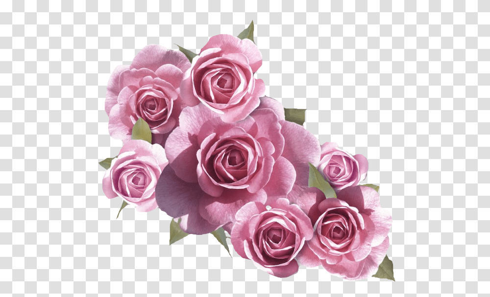 Thumb Image Pink And White Flowers, Plant, Rose, Blossom, Flower Bouquet Transparent Png