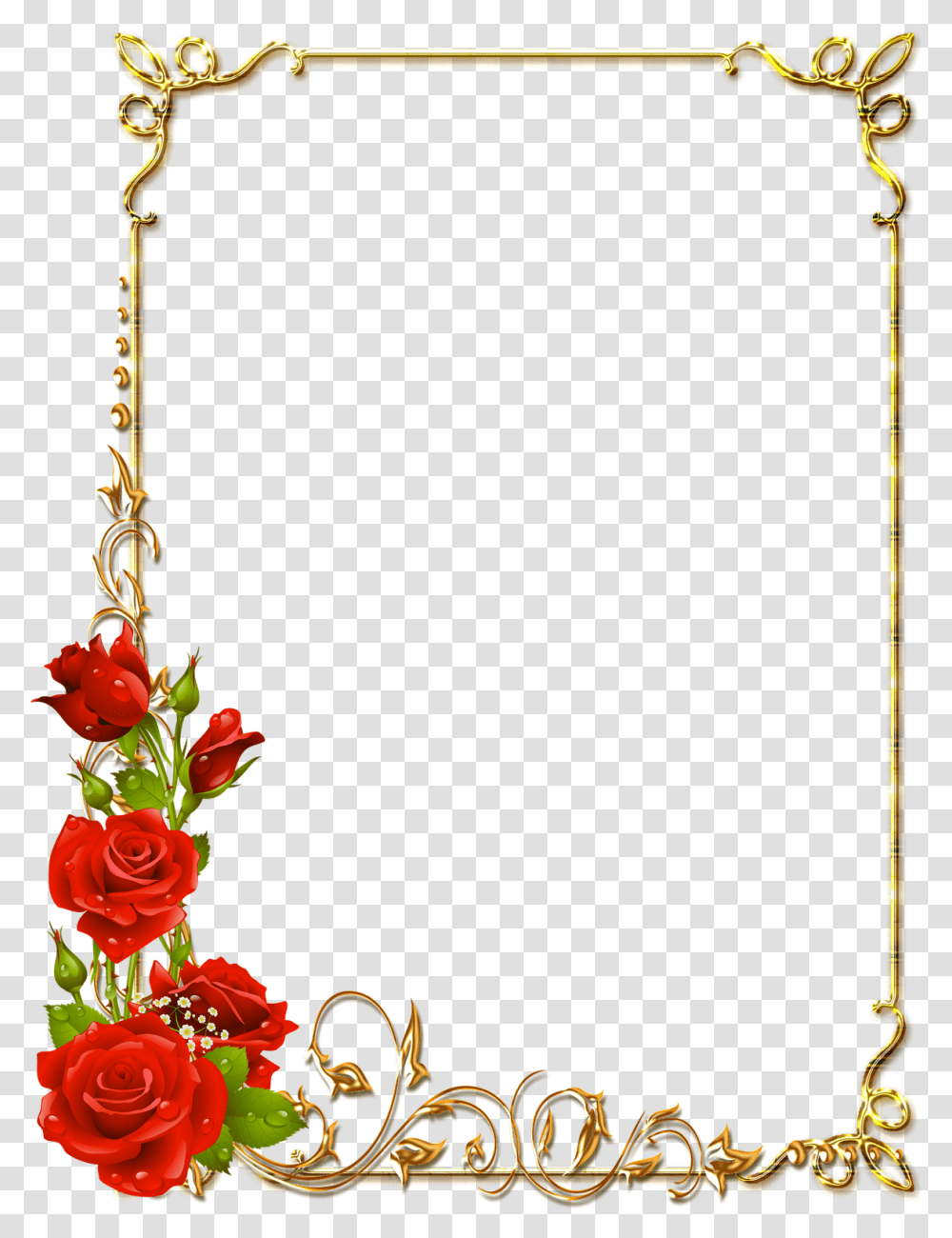 Thumb Image, Plant, Flower, Blossom, Rose Transparent Png