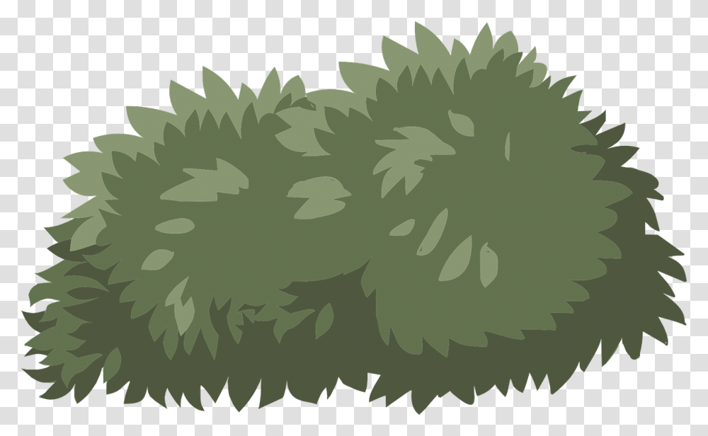 Thumb Image, Plant, Leaf, Green, Tree Transparent Png