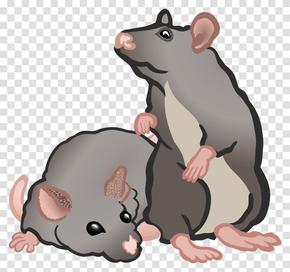 Thumb Image Rat And Mouse Clipart, Rodent, Mammal, Animal, Mole Transparent Png