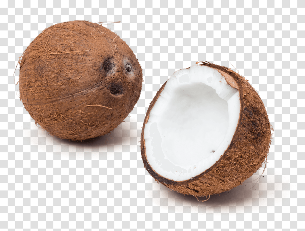 Thumb Image Raw Coconut Meat, Plant, Vegetable, Food, Fruit Transparent Png