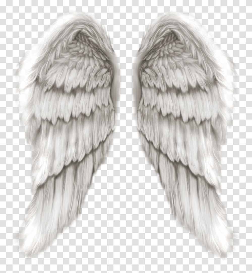 Thumb Image Realistic Angel Wings, Bird, Animal, Archangel Transparent Png