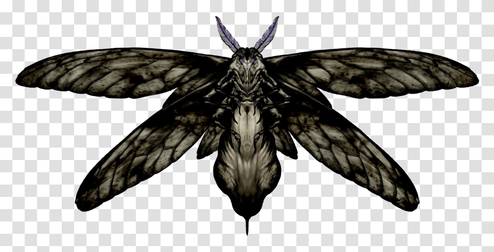 Thumb Image Resident Evil 2 Moth, Ornament, Pattern, Bird, Animal Transparent Png