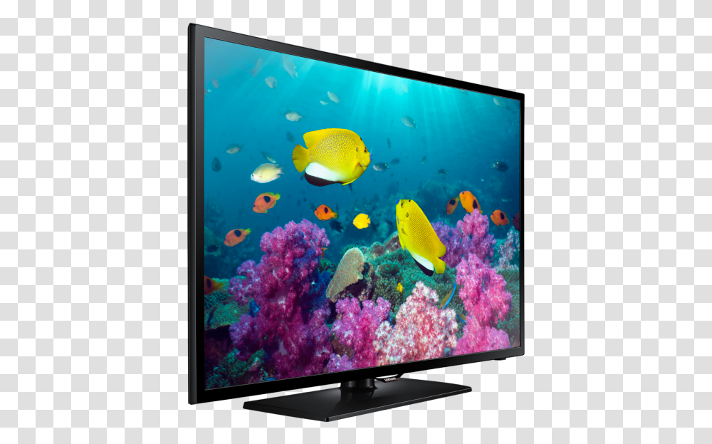 Thumb Image Samsung Led Tv Price 22 Inch, Fish, Animal, Monitor, Screen Transparent Png