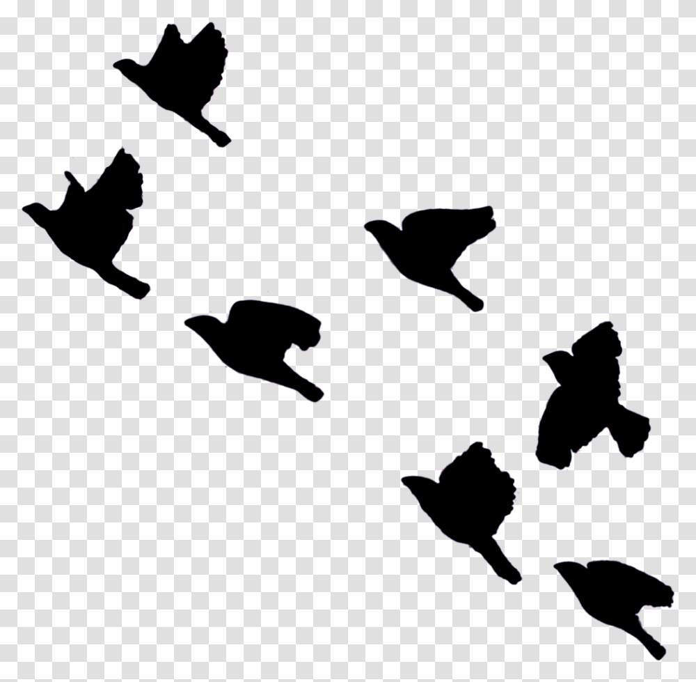 Thumb Image Shadow Birds Flying In The Sky, Outdoors, Nature Transparent Png