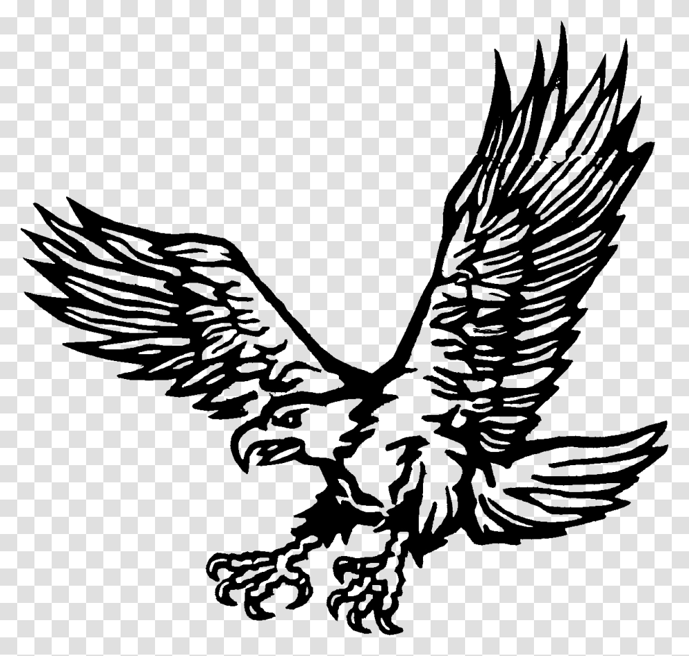 Thumb Image Shaheen Coloring Pages, Eagle, Bird, Animal, Flying Transparent Png