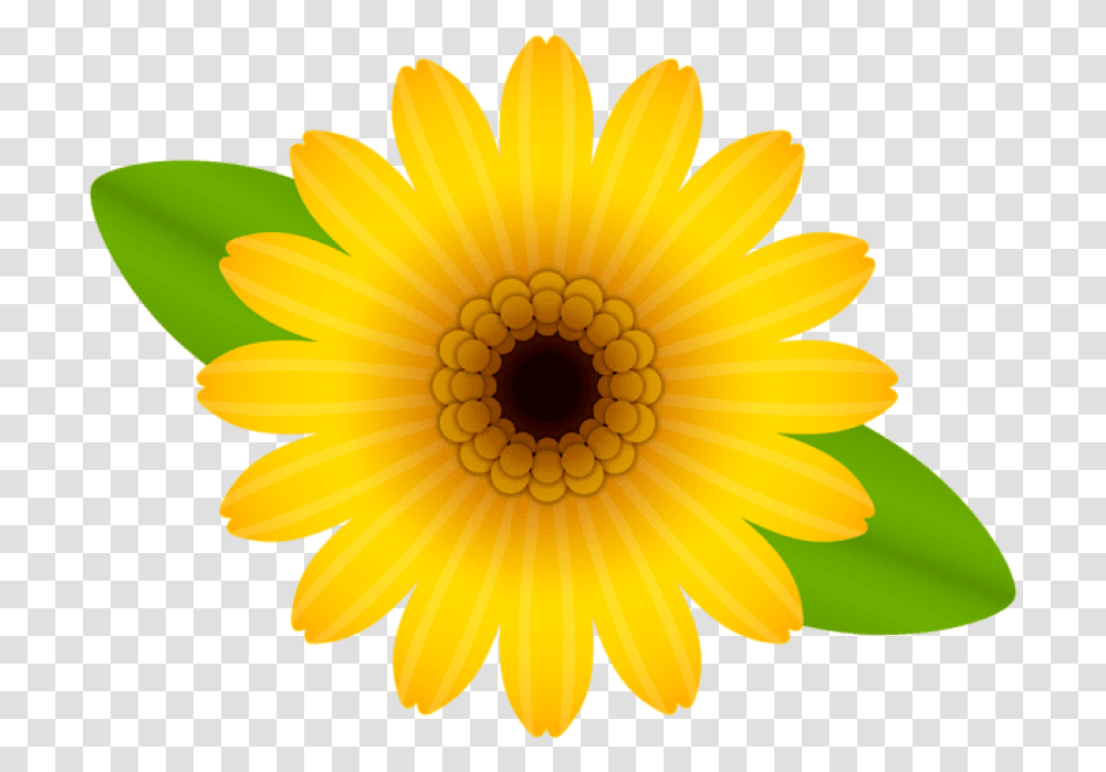 Thumb Image Single Yellow Flowers, Plant, Blossom, Daisy, Daisies Transparent Png