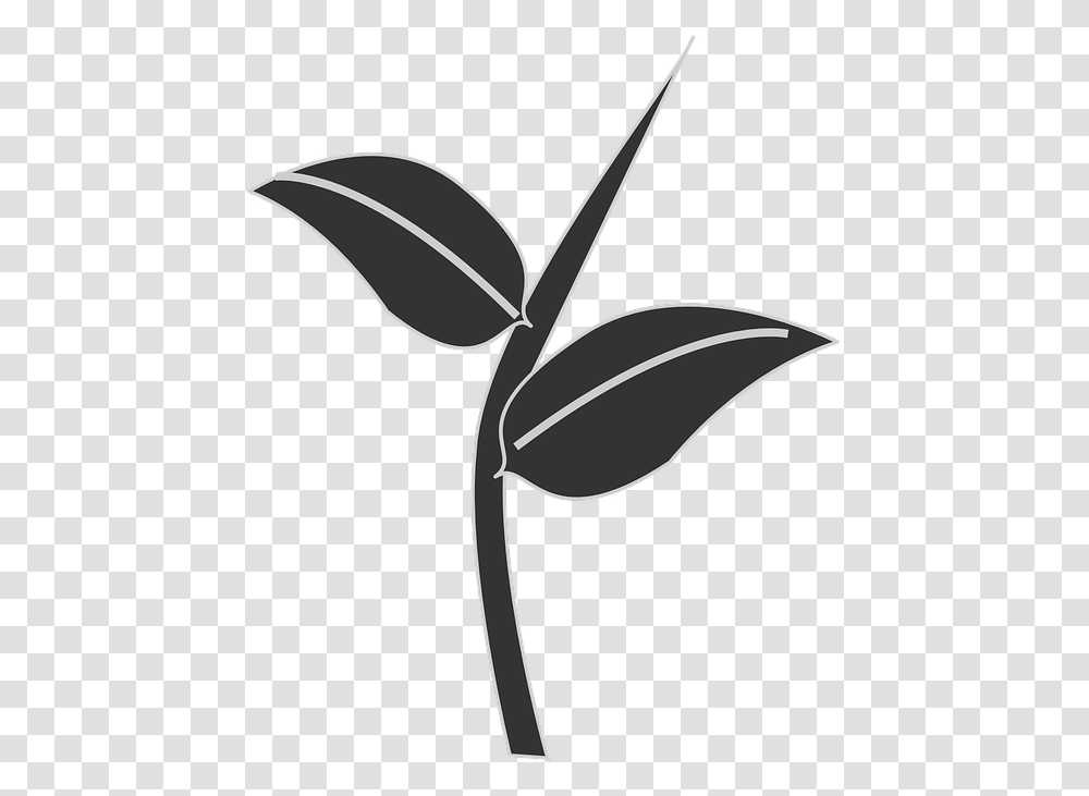 Thumb Image Stem And Leaf Silhouette, Flower, Plant, Blossom, Arrow Transparent Png