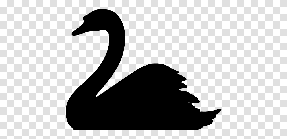 Thumb Image Swan Clipart, Gray, World Of Warcraft Transparent Png