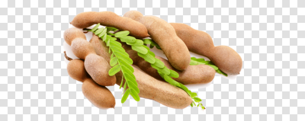 Thumb Image Tamarind Background, Plant, Food, Person, Human Transparent Png