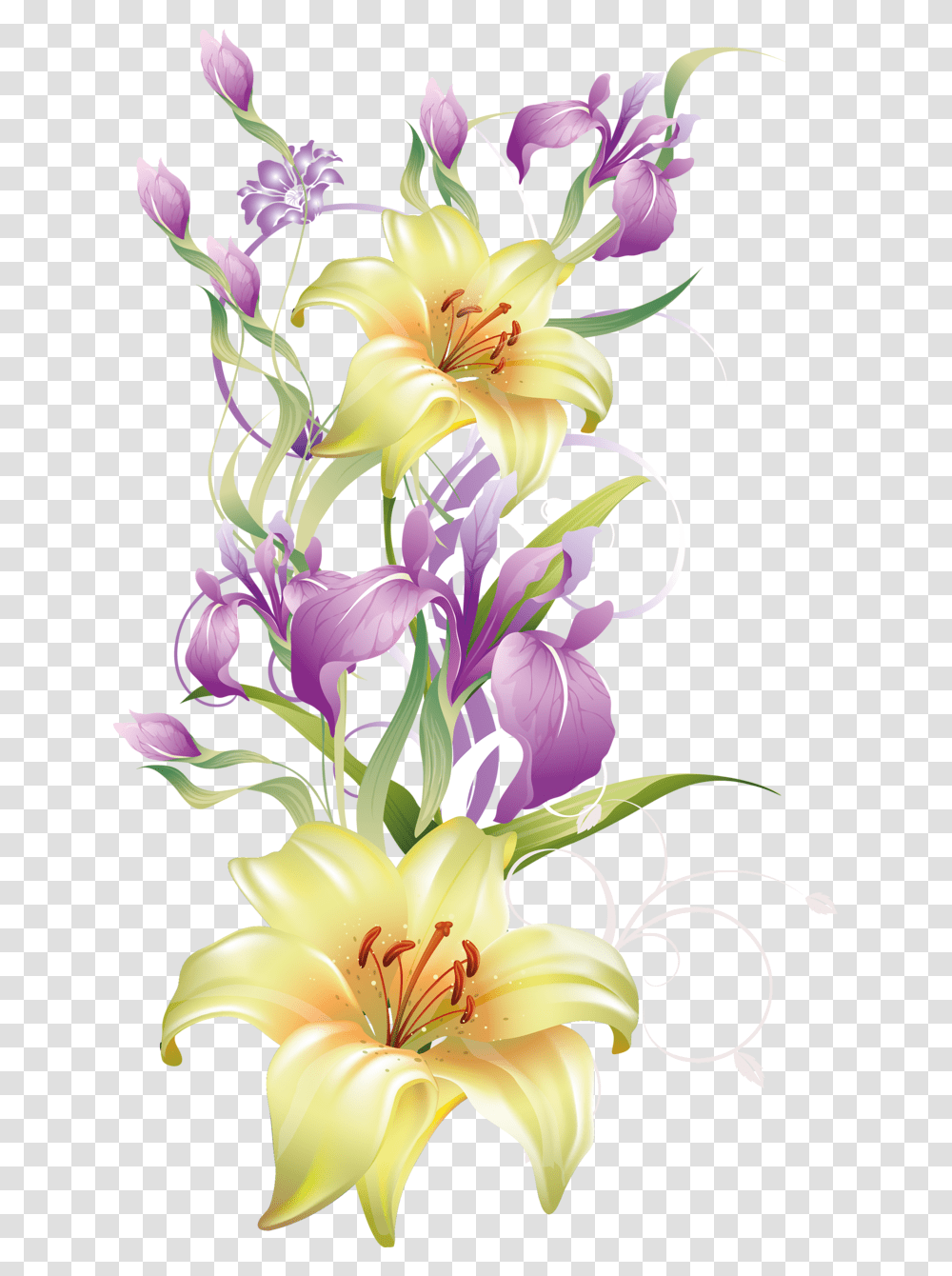 Thumb Image Thank You For Your Prayers Flowers, Plant, Lily, Blossom Transparent Png