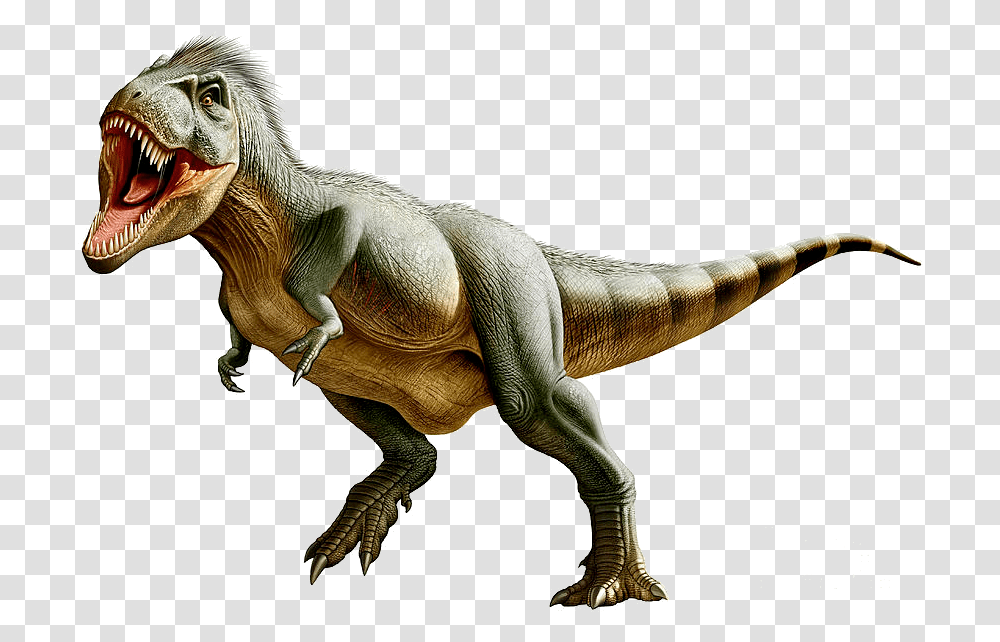 Thumb Image Trex, Dinosaur, Reptile, Animal, T-Rex Transparent Png