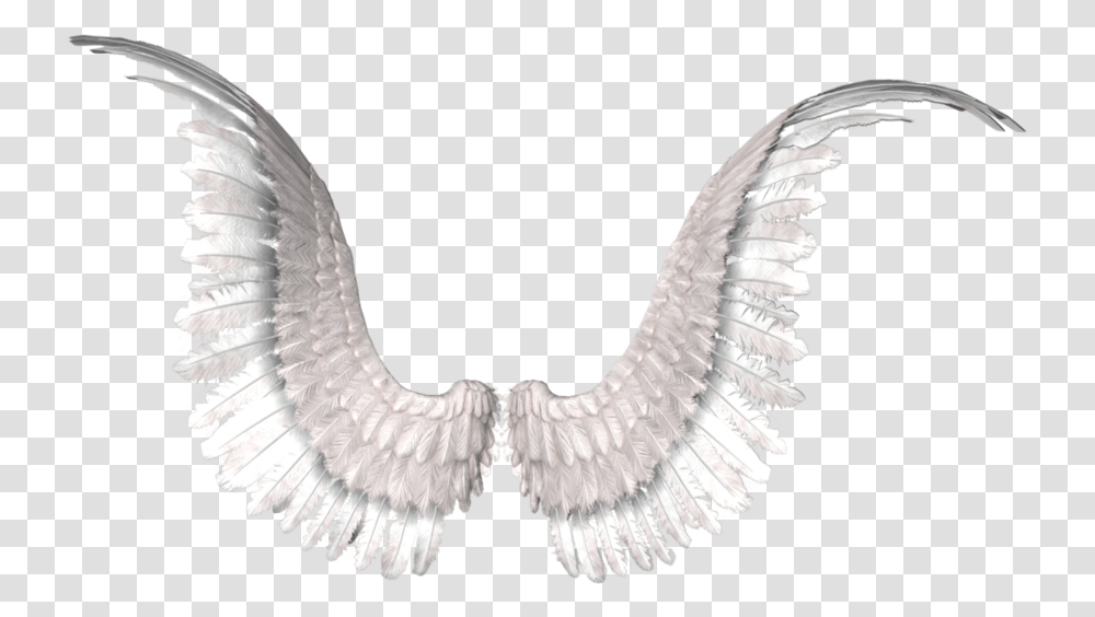 Thumb Image Victoria Secret Wings, Accessories, Accessory, Bird, Animal Transparent Png