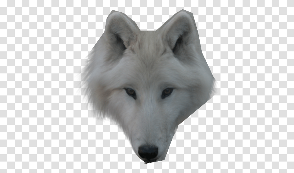 Thumb Image Wolf Face, Dog, Pet, Canine, Animal Transparent Png