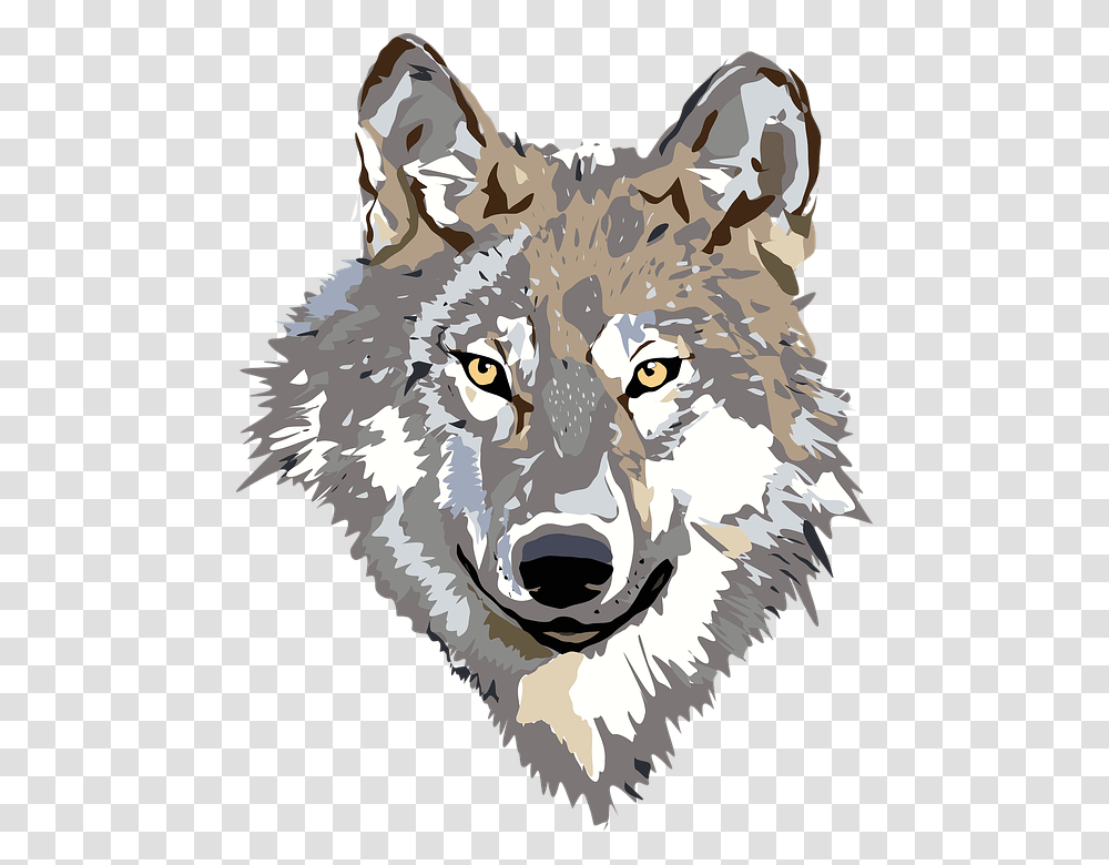 Thumb Image Wolf Head, Mammal, Animal, Red Wolf, Canine Transparent Png