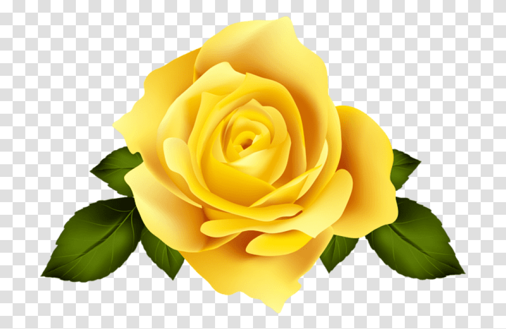 Thumb Image Yellow Rose Background, Flower, Plant, Blossom, Petal Transparent Png