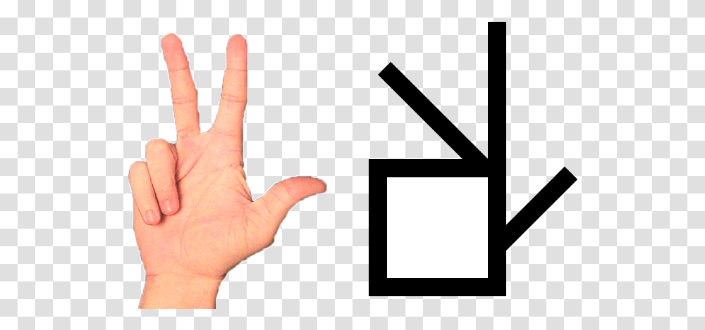 Thumb Index And Middle Finger, Person, Human, Hand, Thumbs Up Transparent Png