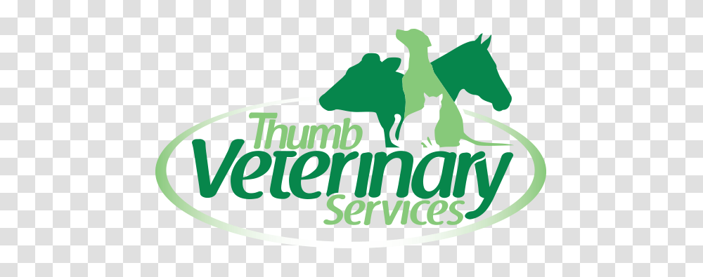 Thumb Veterinary Services, Cat, Animal, Poster Transparent Png