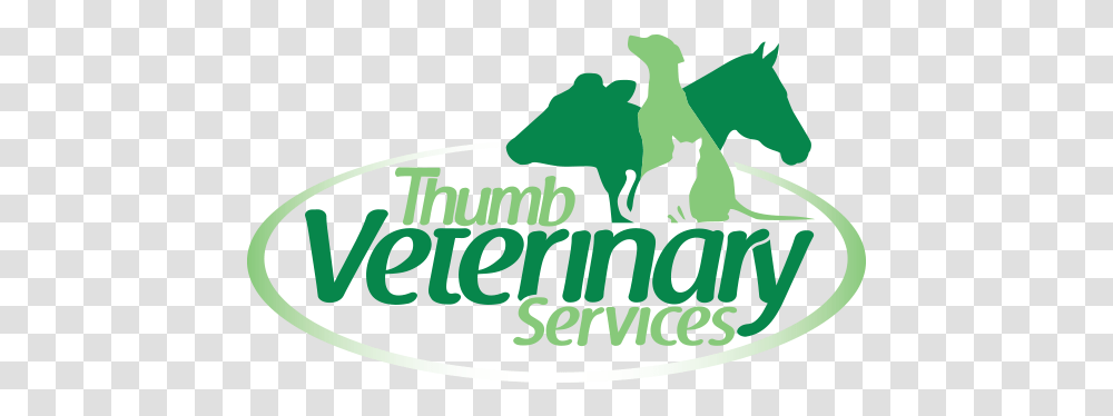 Thumb Veterinary Services Large Animal Veterinarian, Cat, Mammal, Logo, Symbol Transparent Png