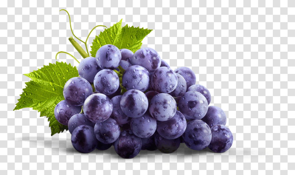 Thumbnail Concord Grape, Plant, Grapes, Fruit, Food Transparent Png