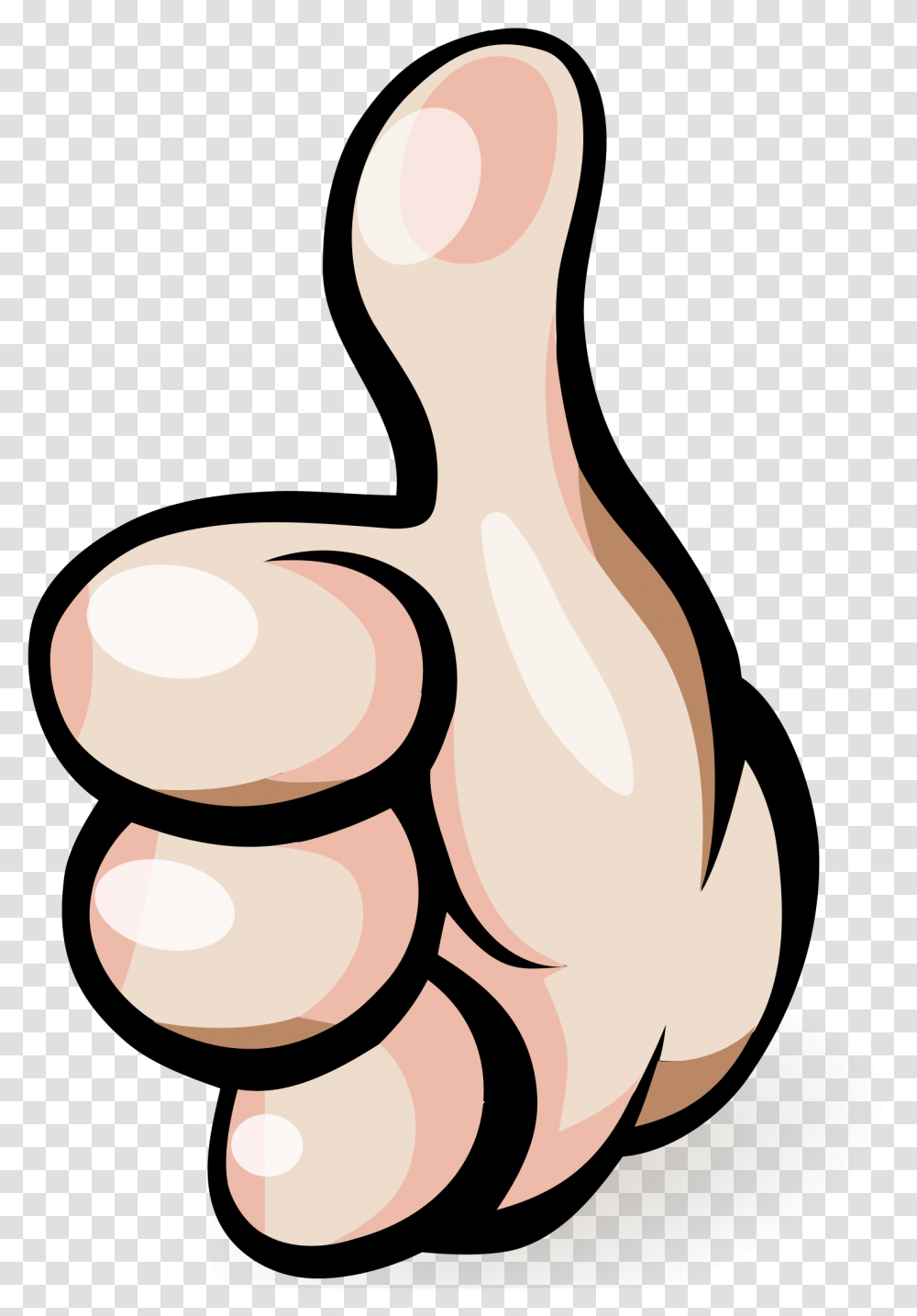 Thumbs Up, Animal, Hand, Finger, Bird Transparent Png