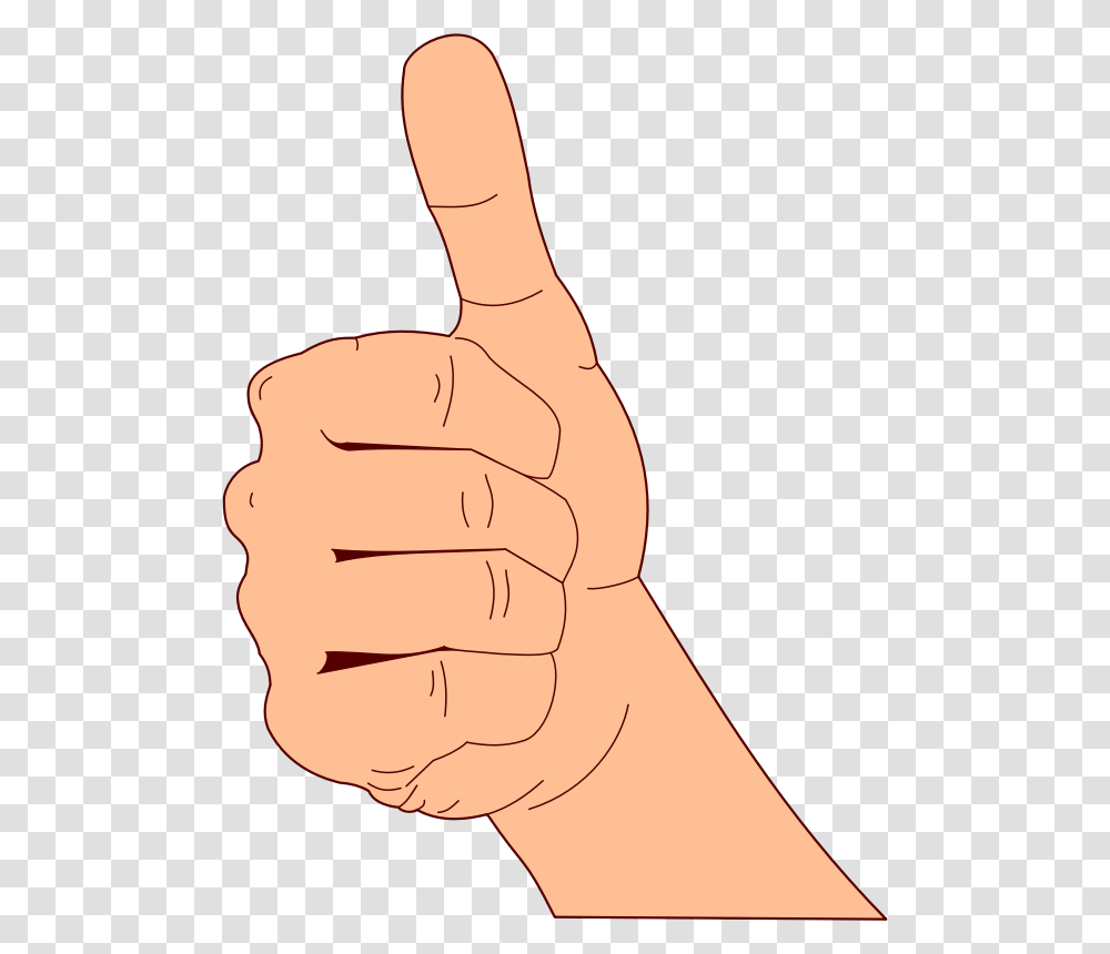 Thumbs Up Big Hand Thumbs Up, Person, Human, Finger Transparent Png