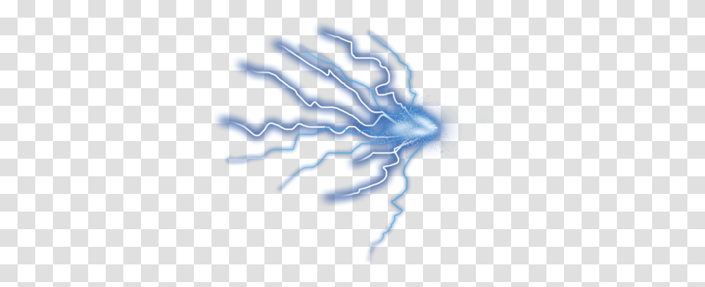 Thunder, Nature, Sea Life, Animal, Seafood Transparent Png