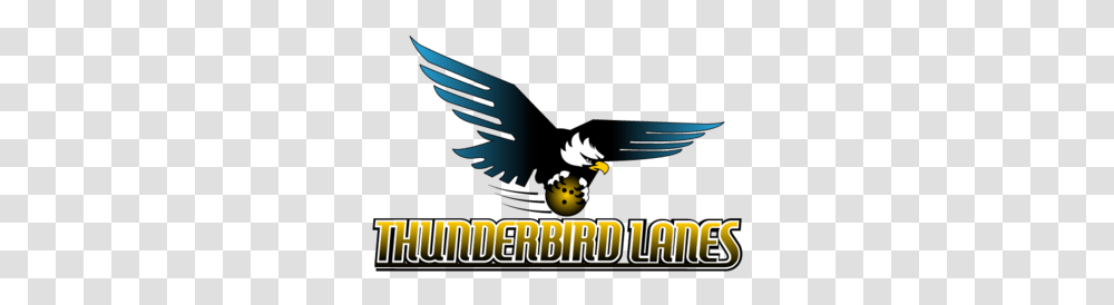 Thunderbird Lanes Language, Eagle, Animal, Flying, Poster Transparent Png
