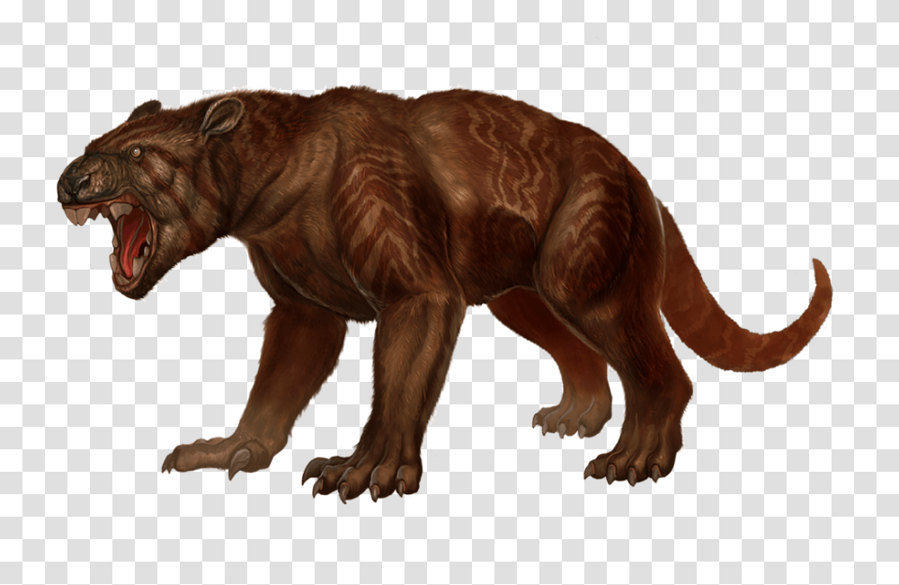 Thylacoleo, Wildlife, Animal, Mammal, Brown Bear Transparent Png