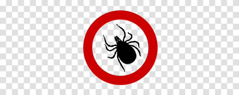 Tick Animals, Label Transparent Png