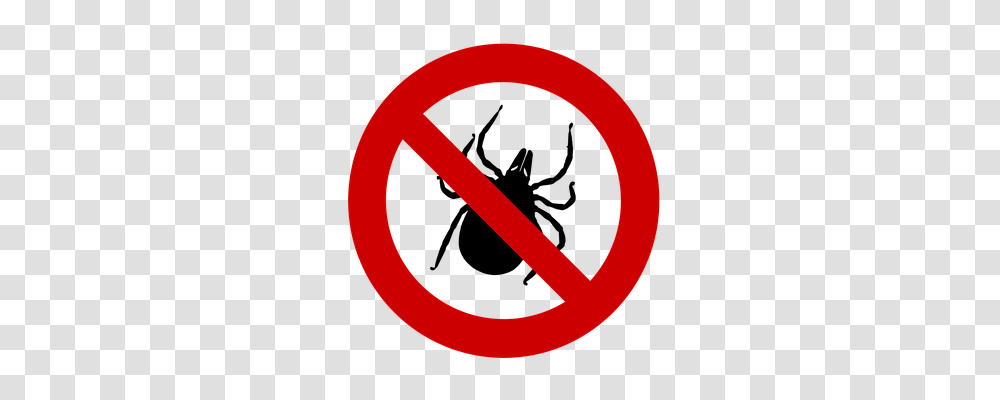 Tick Animals, Road Sign, Stopsign Transparent Png