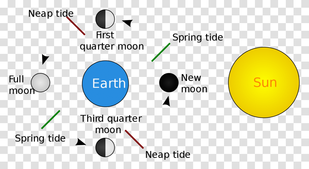 Tide, Gauge, Tachometer Transparent Png