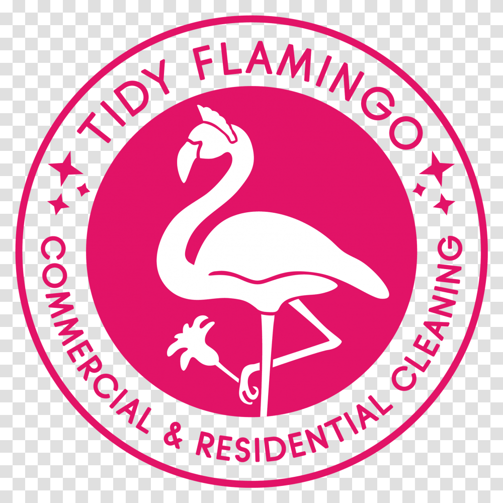 Tidy Flamingo Ducks, Bird, Animal, Poster, Advertisement Transparent Png
