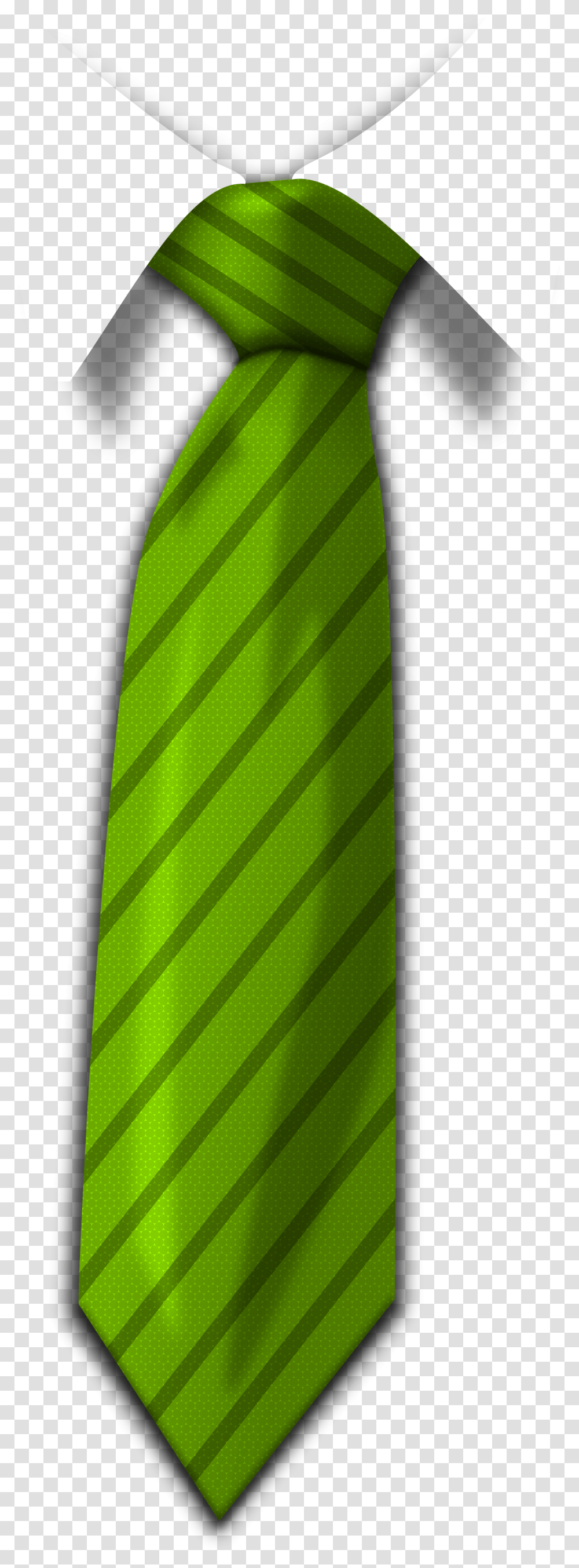 Tie, Accessories, Necktie, Vase Transparent Png