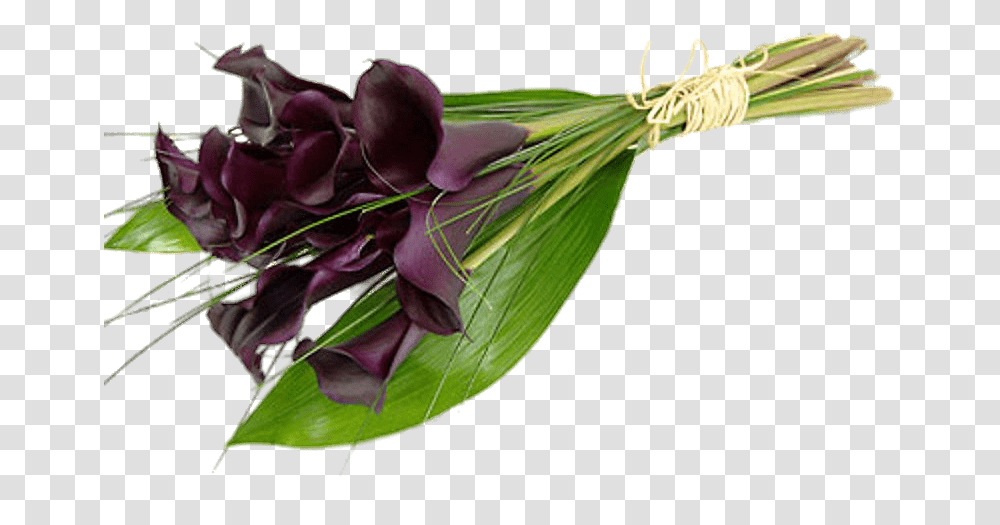 Tied Purple Calla Lilies Calla Purple Funeral Flowers, Plant, Petal, Leaf, Animal Transparent Png