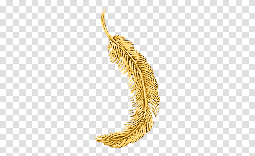 Tiffany S 18k Yellow Gold Feather Pin Gold Feather, Plant, Fern, Leaf, Flower Transparent Png