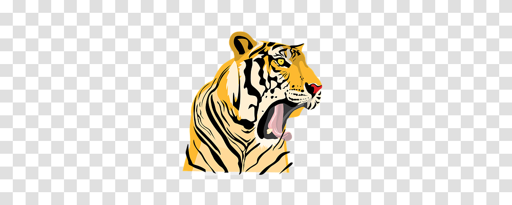 Tiger Nature, Wildlife, Mammal, Animal Transparent Png