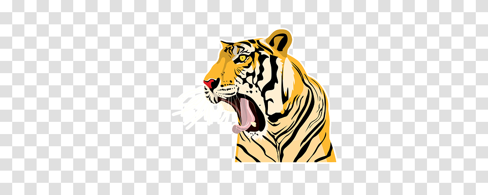 Tiger Nature, Wildlife, Mammal, Animal Transparent Png
