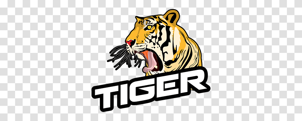 Tiger Nature, Wildlife, Animal, Mammal Transparent Png